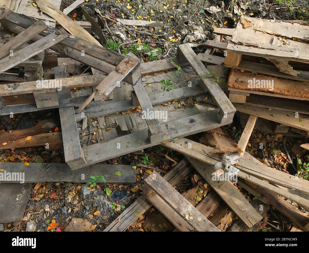 Scrap Wood Pile Stock Photo - Alamy