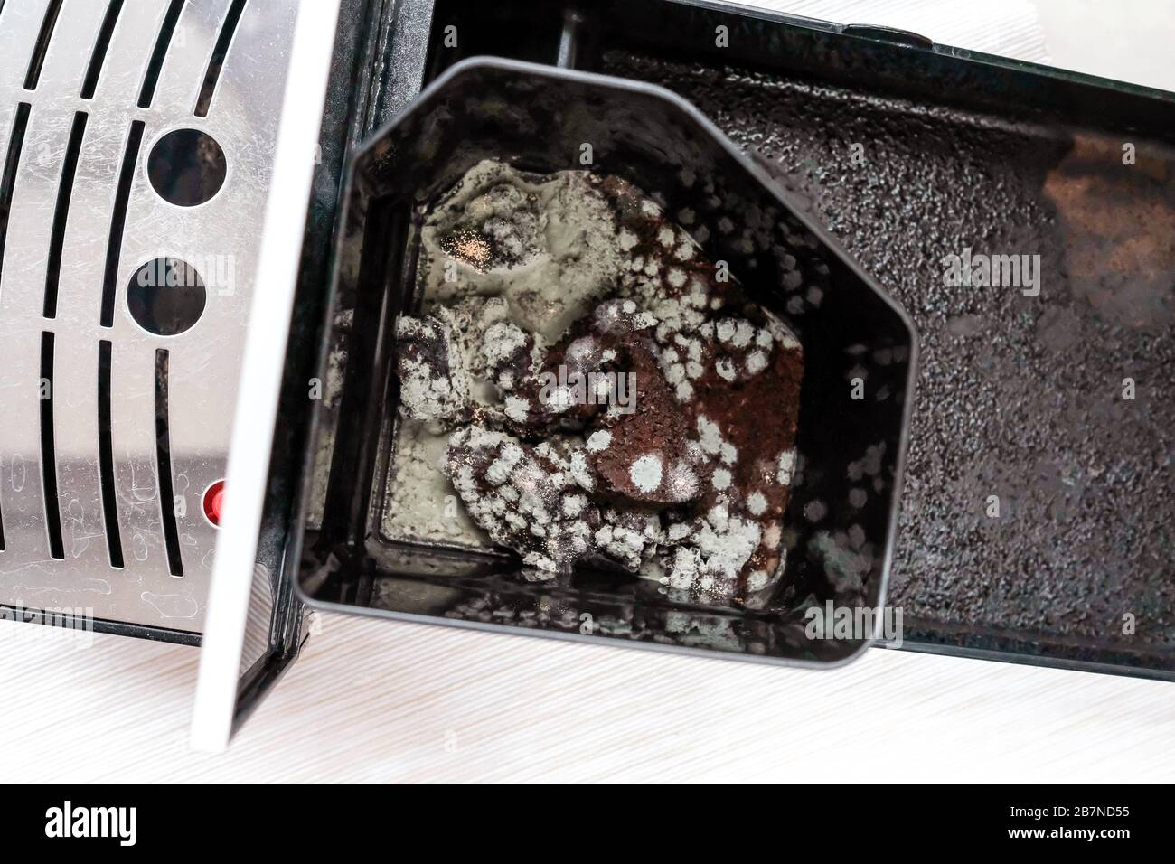 Mold in a coffee machine. Green dirty stains on the remains of coffee. View from above. Stock Photo