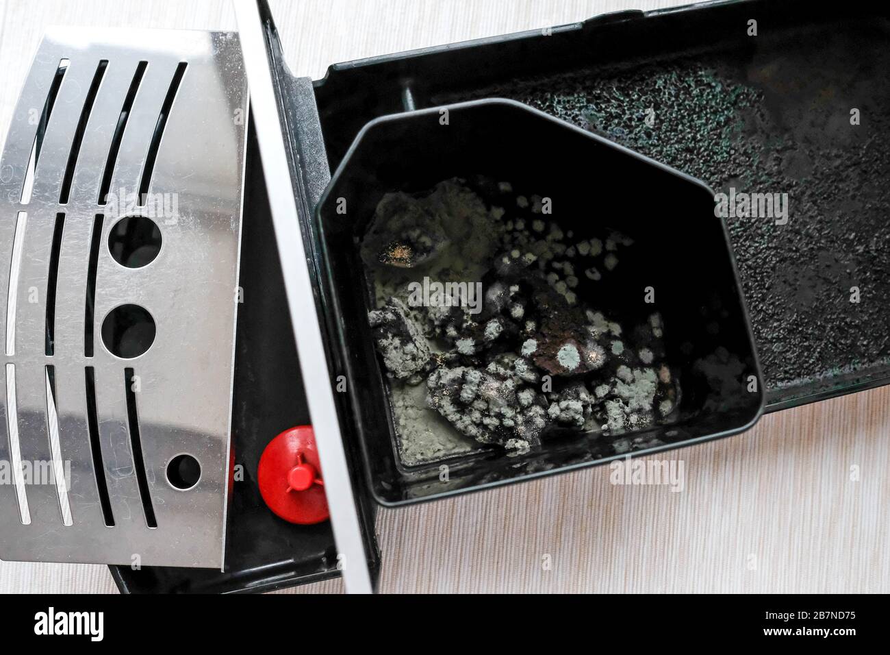 Mold in a coffee machine. Green dirty stains on the remains of coffee
