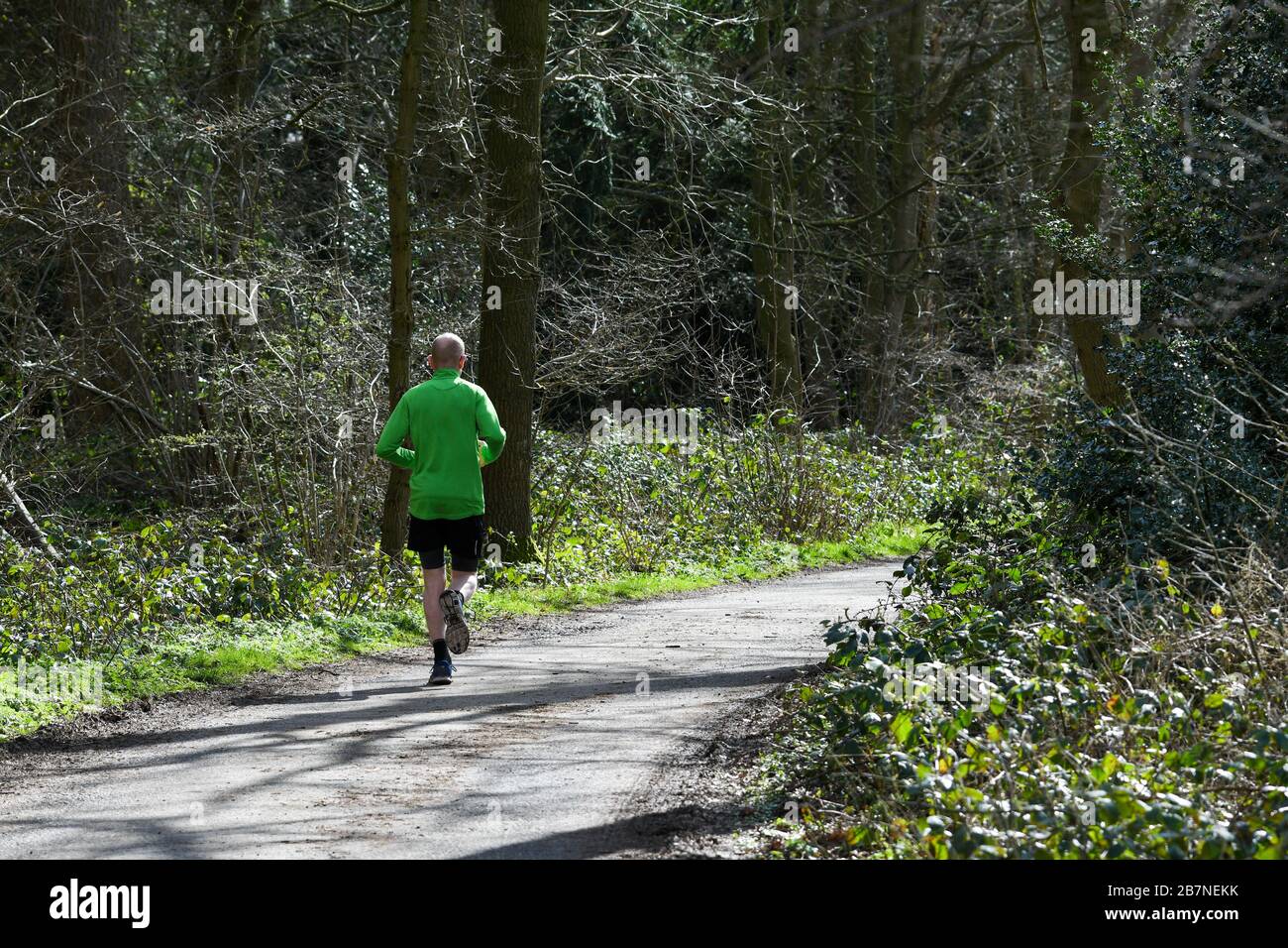 man jogging along a woodland path Stock Photo
