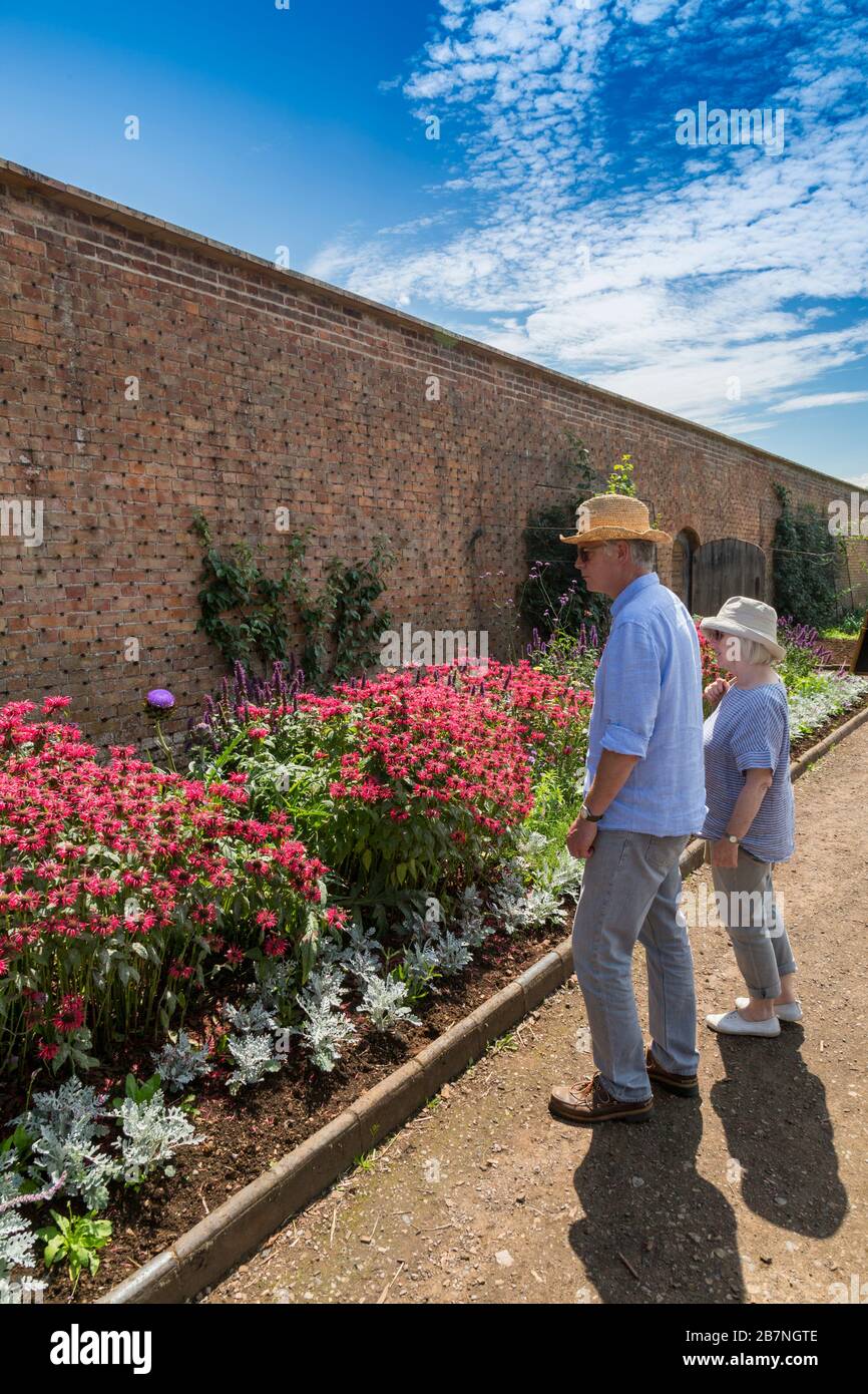 Colourful garden border hi-res stock photography and images - Alamy