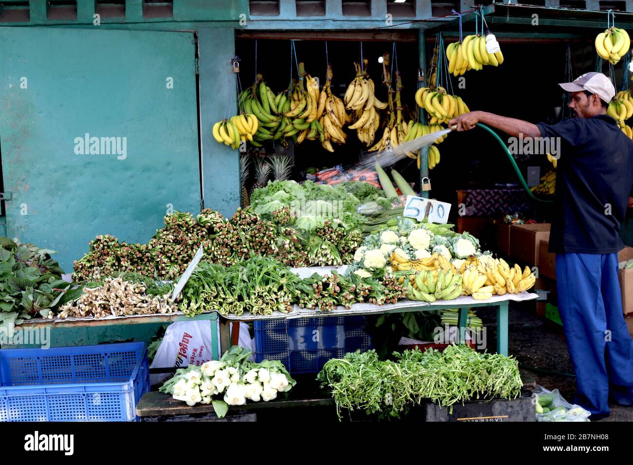 Tropical Fruits and Vegetables For Sale, Trinidad and Tobago, W.I Stock