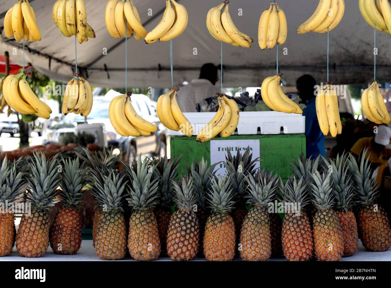 Tropical Fruits and Vegetables For Sale, Trinidad and Tobago, W.I Stock