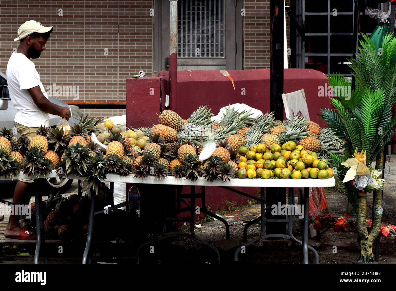 Tropical Fruits and Vegetables For Sale, Trinidad and Tobago, W.I Stock