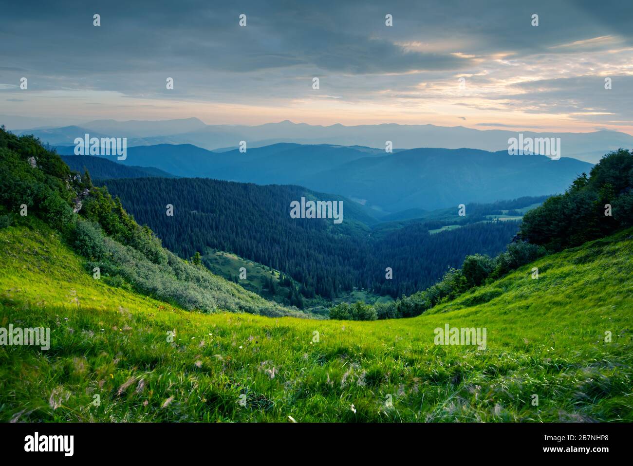 lush-green-grass-covered-mountains-meadow-in-summer-time-soft-sunrise