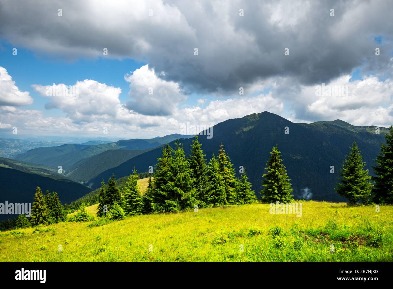 Lush green grass covered mountains meadow in summer time. Soft sunrise ...
