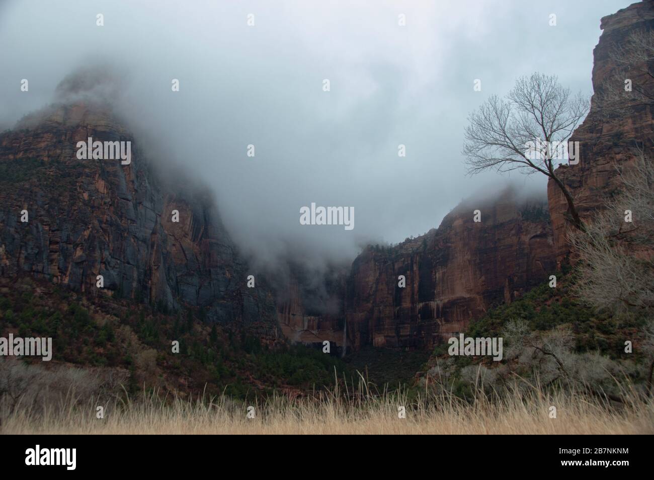 Enjoying the amazing views and moods of Zion National Park, Utah, USA Stock Photo