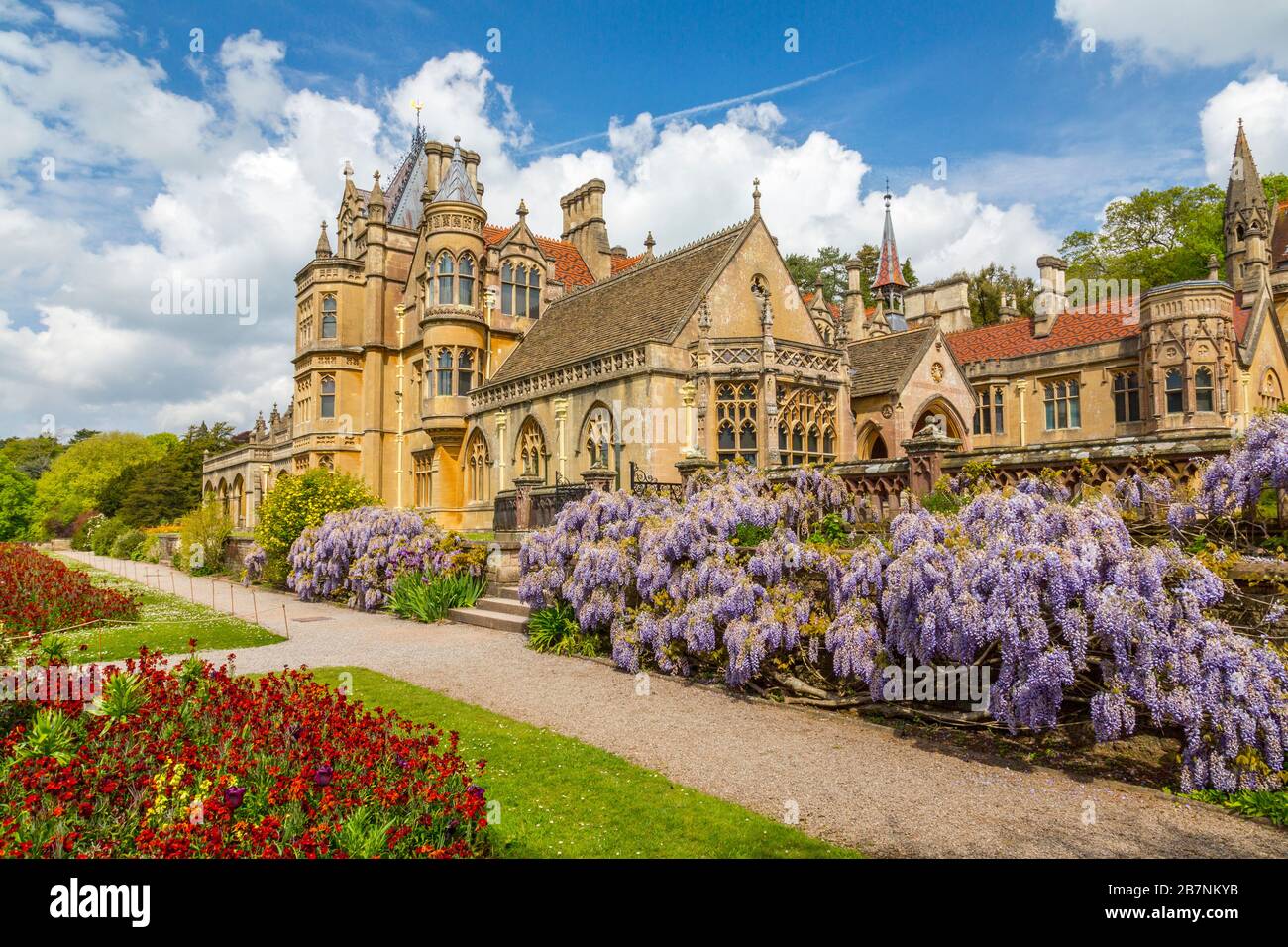 A colourful display of wisteria and wallflowers in the garden at