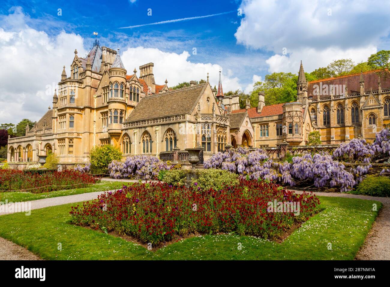 A colourful display of wisteria and wallflowers  in the garden at Tyntesfield House, North Somerset, England, UK Stock Photo