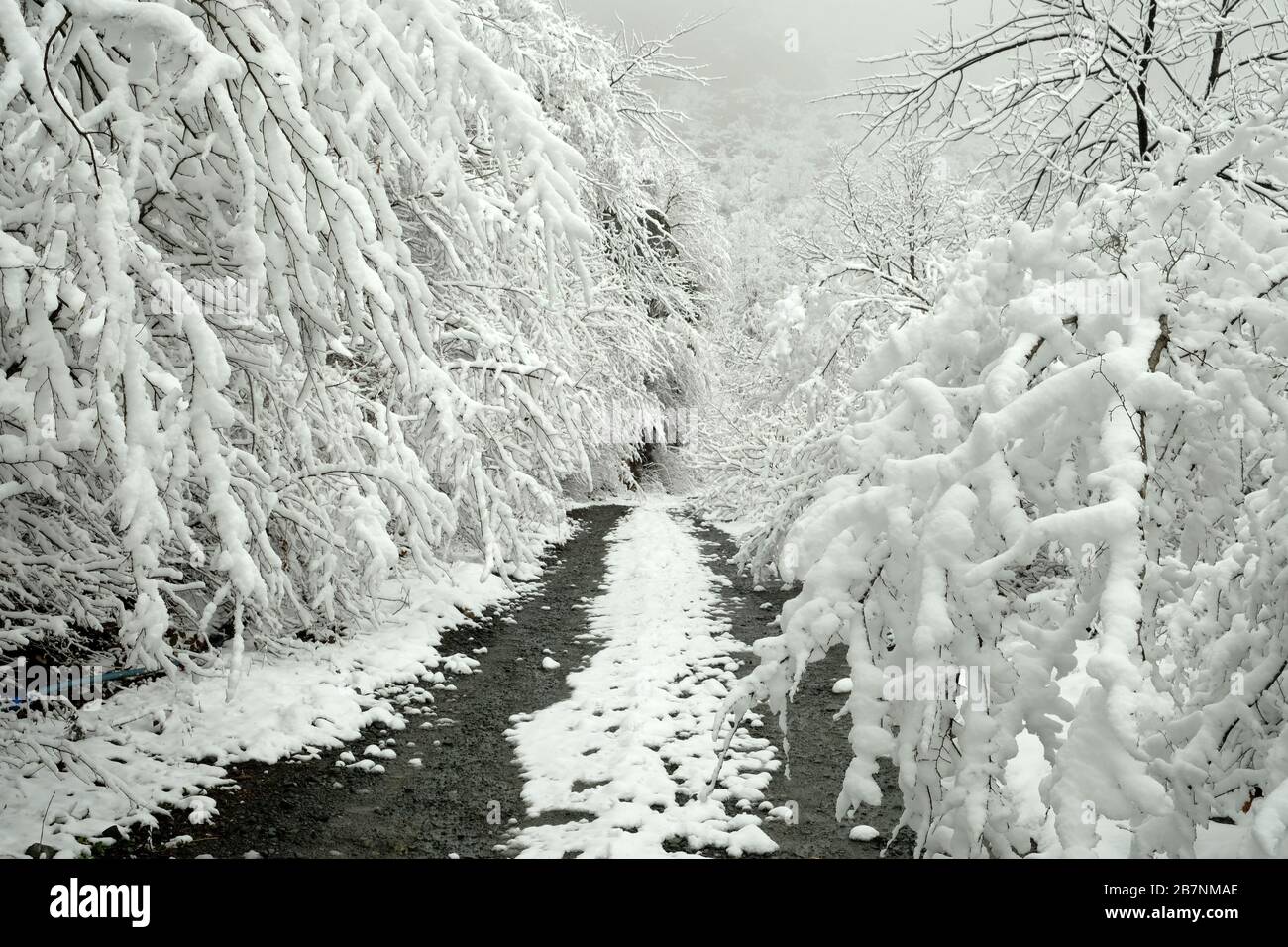 Snow views from the Black Sea in March Stock Photo