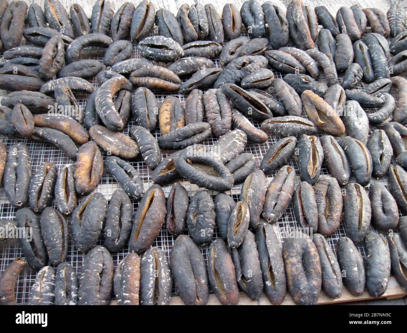 Trepang (Dried sea cucumbers) for sale at Hong Kong fish market Stock