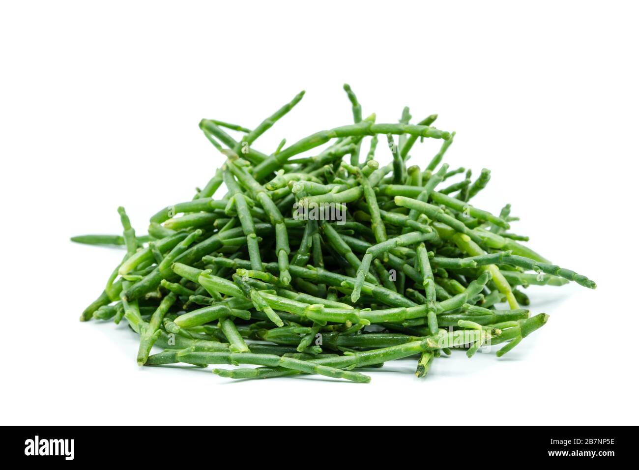Sea asparagus isolated on white background Stock Photo