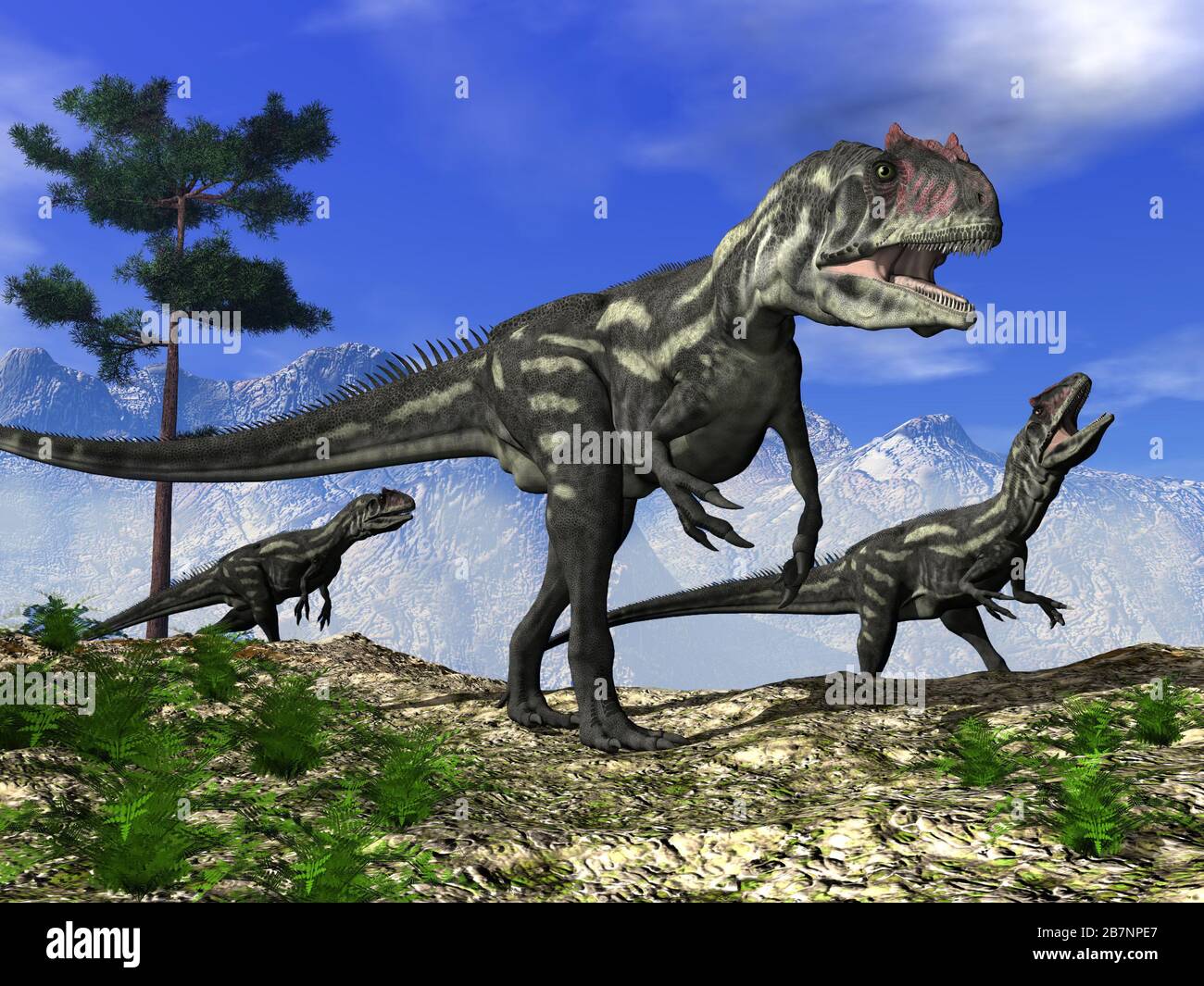 Allosaurus dinosaurs walking on the hill - 3D render Stock Photo