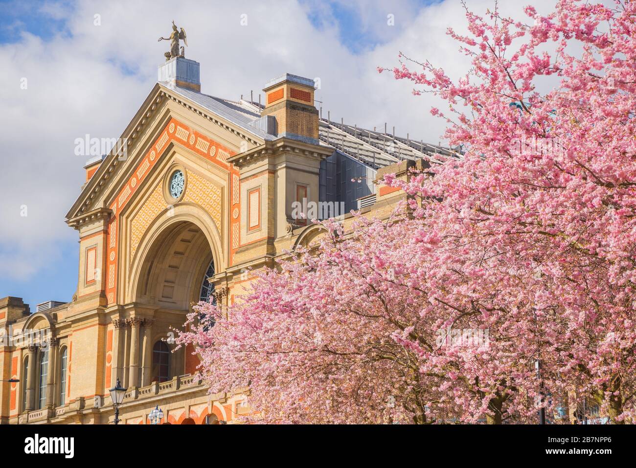 Springtime, Alexandra Palace with cherry blossoms in London, England Stock Photo