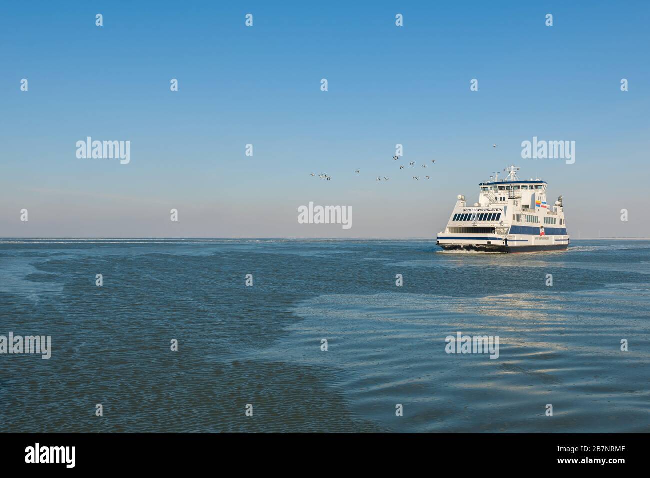 Ferry boat 'Schleswig-Holstein' connecting the North Sea islands with the mainland, Unesco World Heritage, North Frisia, Schleswig-Holstein, Germany, Stock Photo