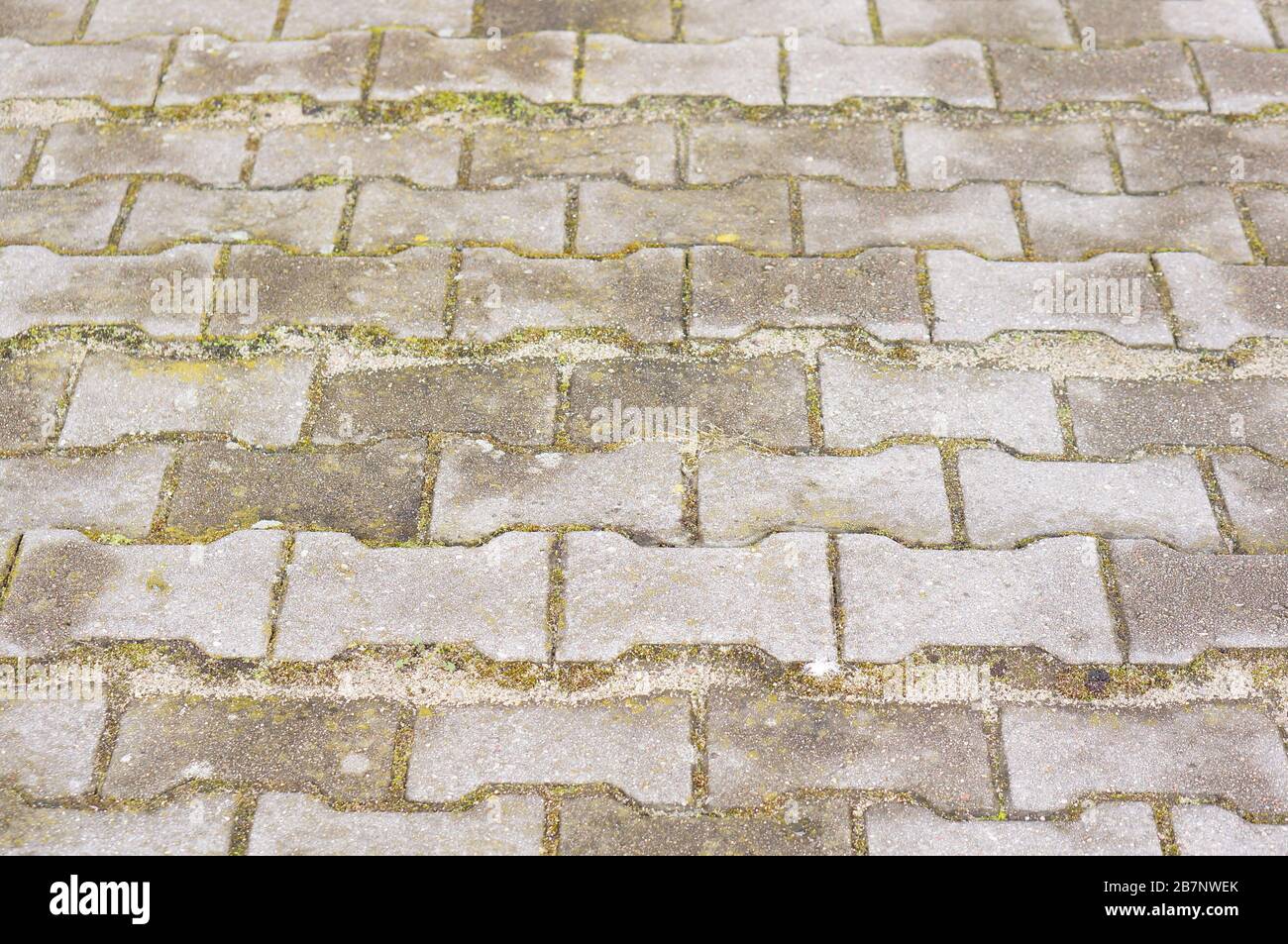 Old cobblestone pathway with moss growing Stock Photo - Alamy