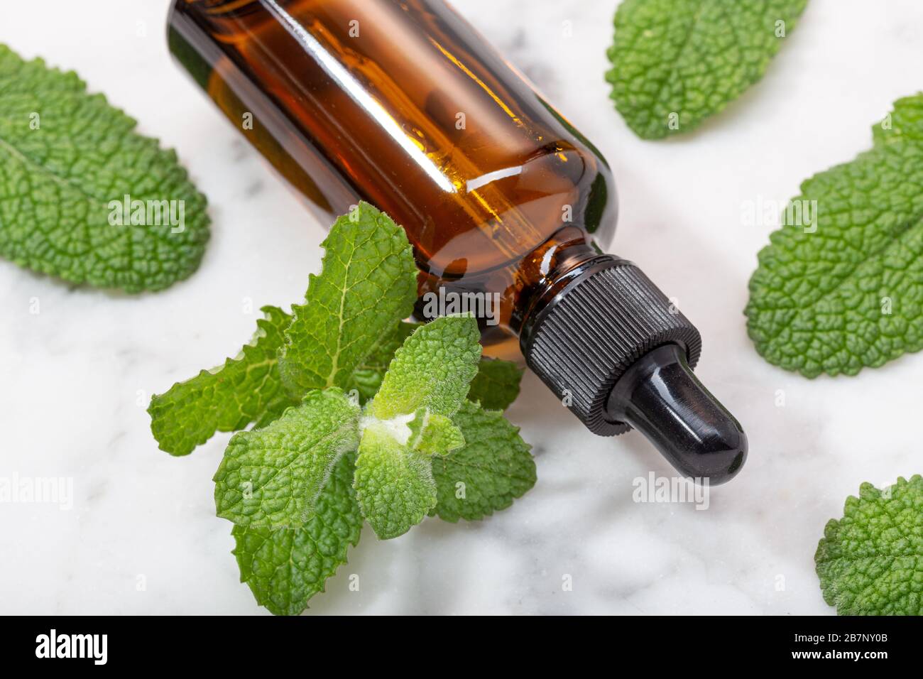 Peppermint essential oil bottle on marble table. Mint oil natural medicine Stock Photo