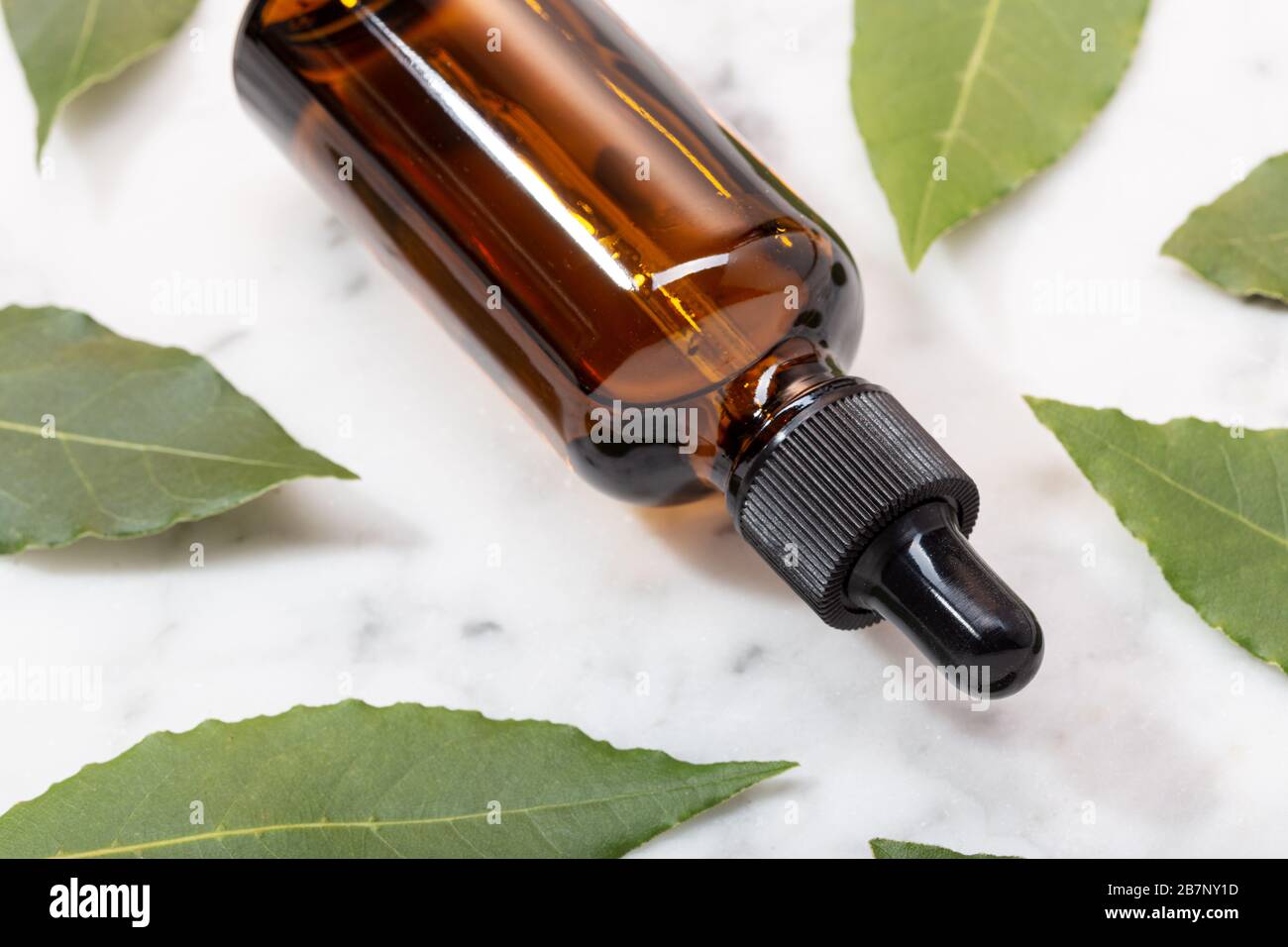 Bay laurel essential oil on marble table. Bay oil on glass bottle with dropper. Laurus nobilis Stock Photo