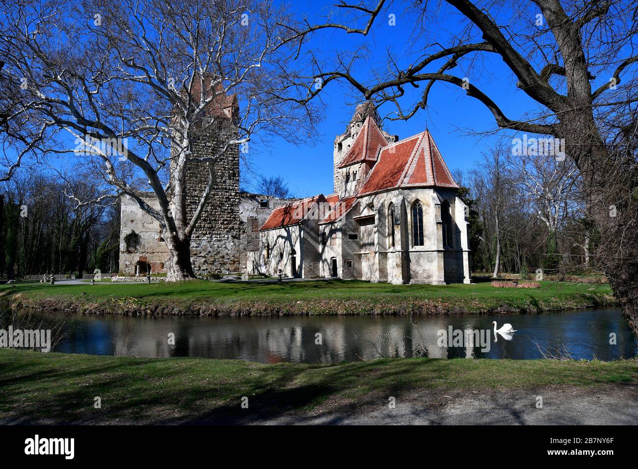 Austria, ruin of Pottendorf castle, a moated medieval castle in Lower ...
