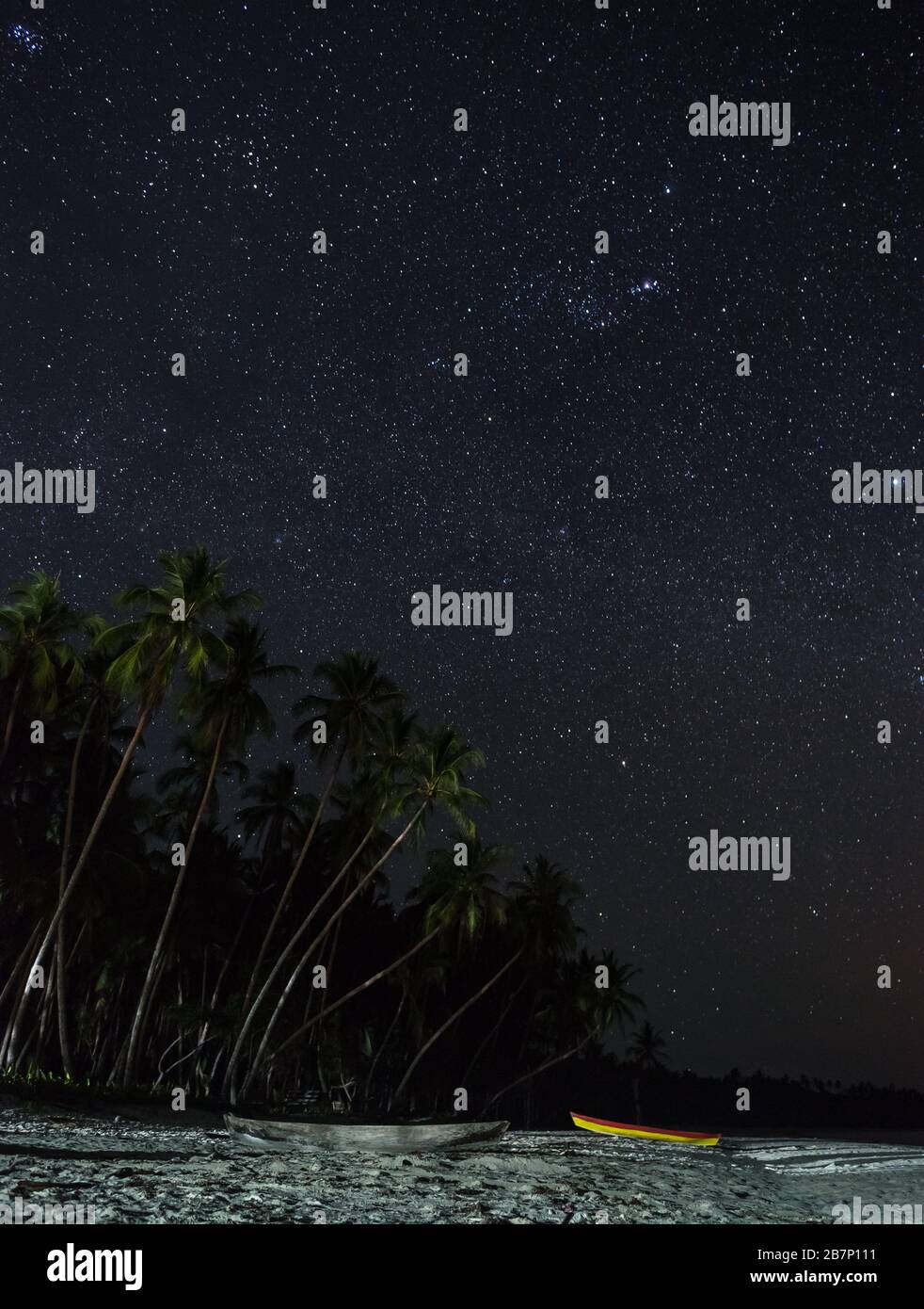 thousands of stars above pristine beach filled with palms in Kei kecil, Maluku, eastern Indonesia Stock Photo