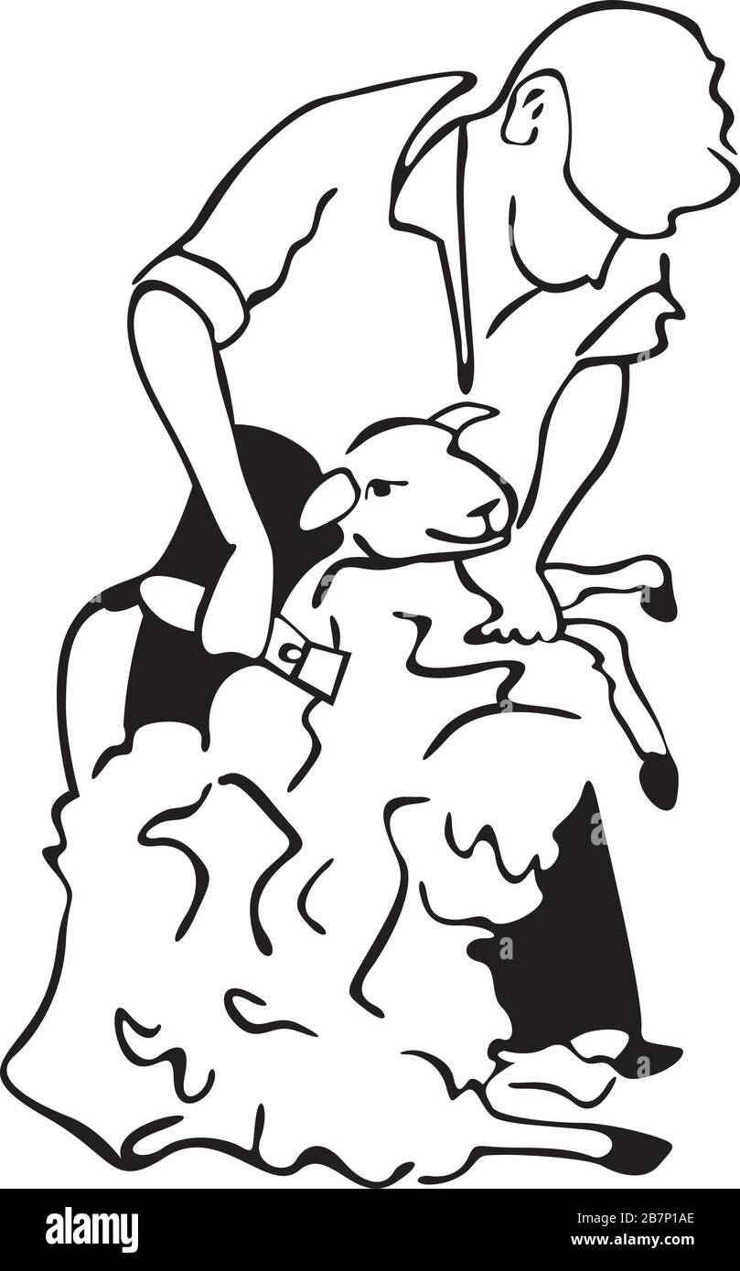 Sheep shearing Stock Vector Image & Art Alamy