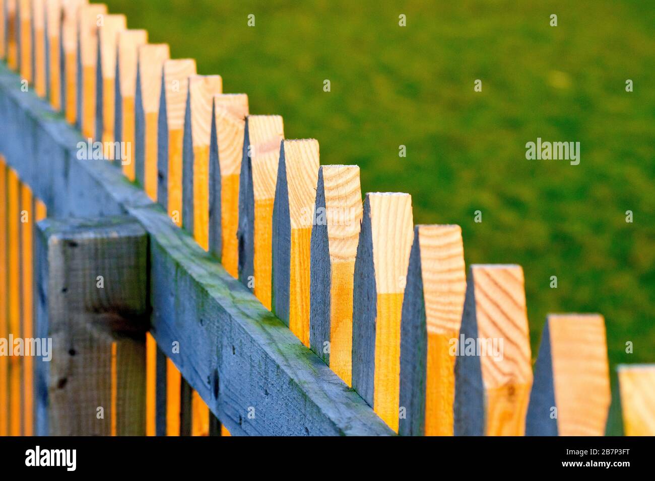 An unpainted wooden stake fence lit from the side by the setting sun, creating warm highlights and cool shadows. Stock Photo