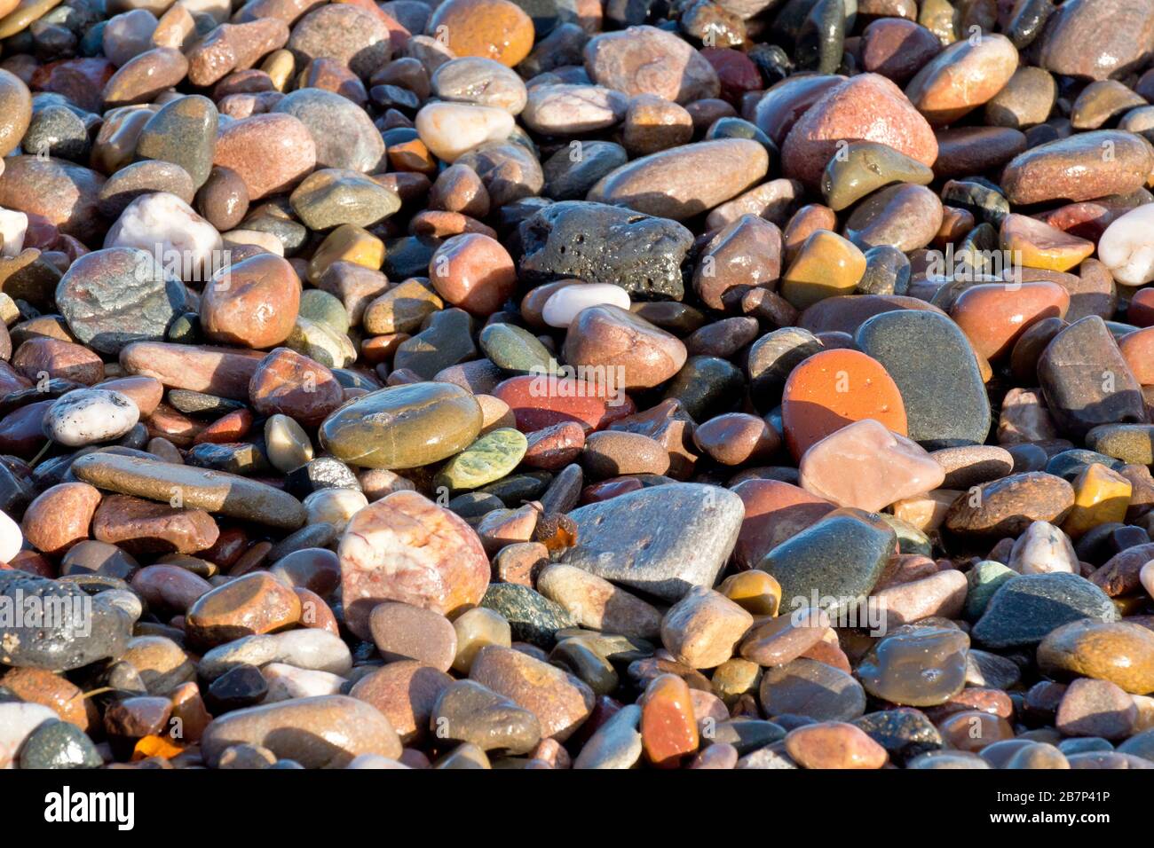 A close up abstract shot of a bank of colourful wet pebbles on the beach, lit by warm, late afternoon sunshine. Stock Photo