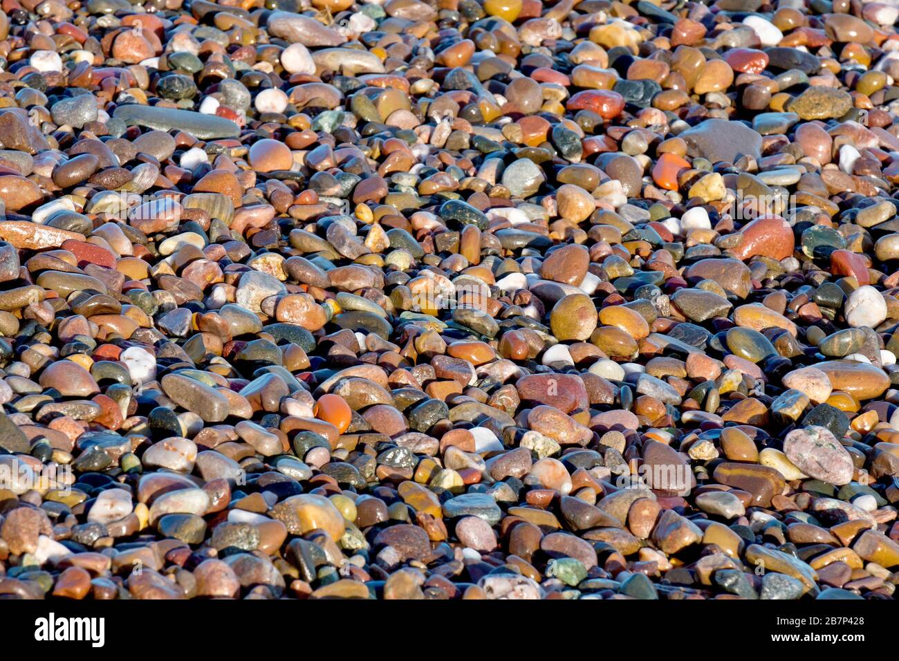 An abstract shot of a bank of colourful wet pebbles on the beach, lit by warm, late afternoon sunshine. Stock Photo