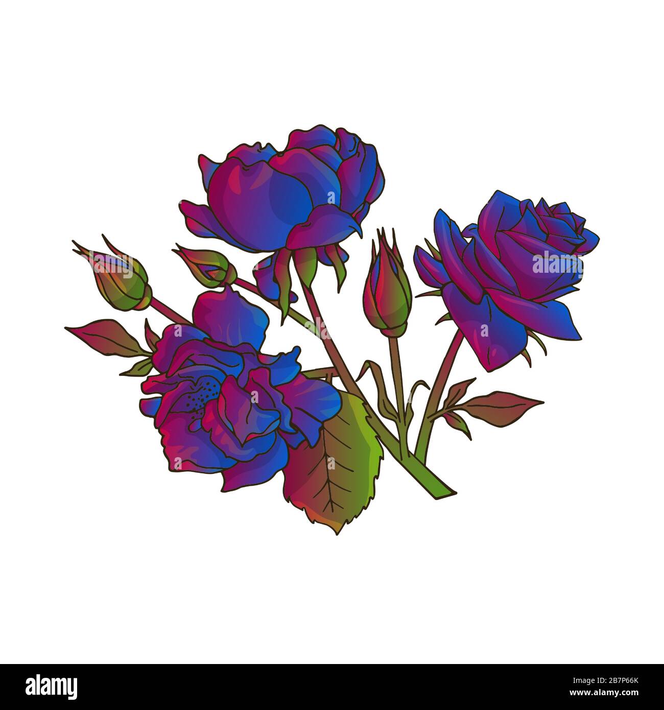 Clip art of blue rose flowers. Hand drawn vector illustration Stock ...