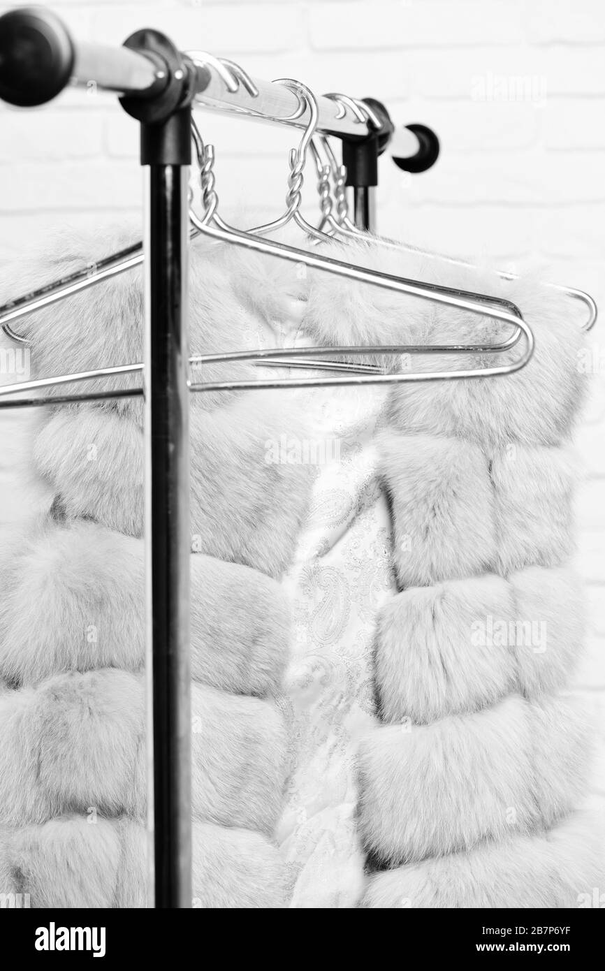 fashionable luxurious waist coat of fur hanging on rack on golden hangers on brick wall studio background Stock Photo
