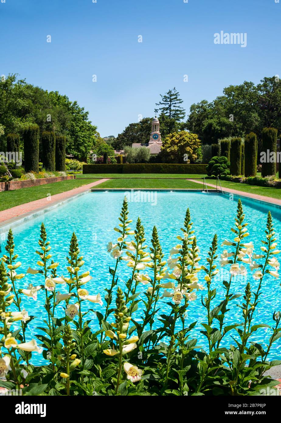 Garden with pool and flowers Stock Photo