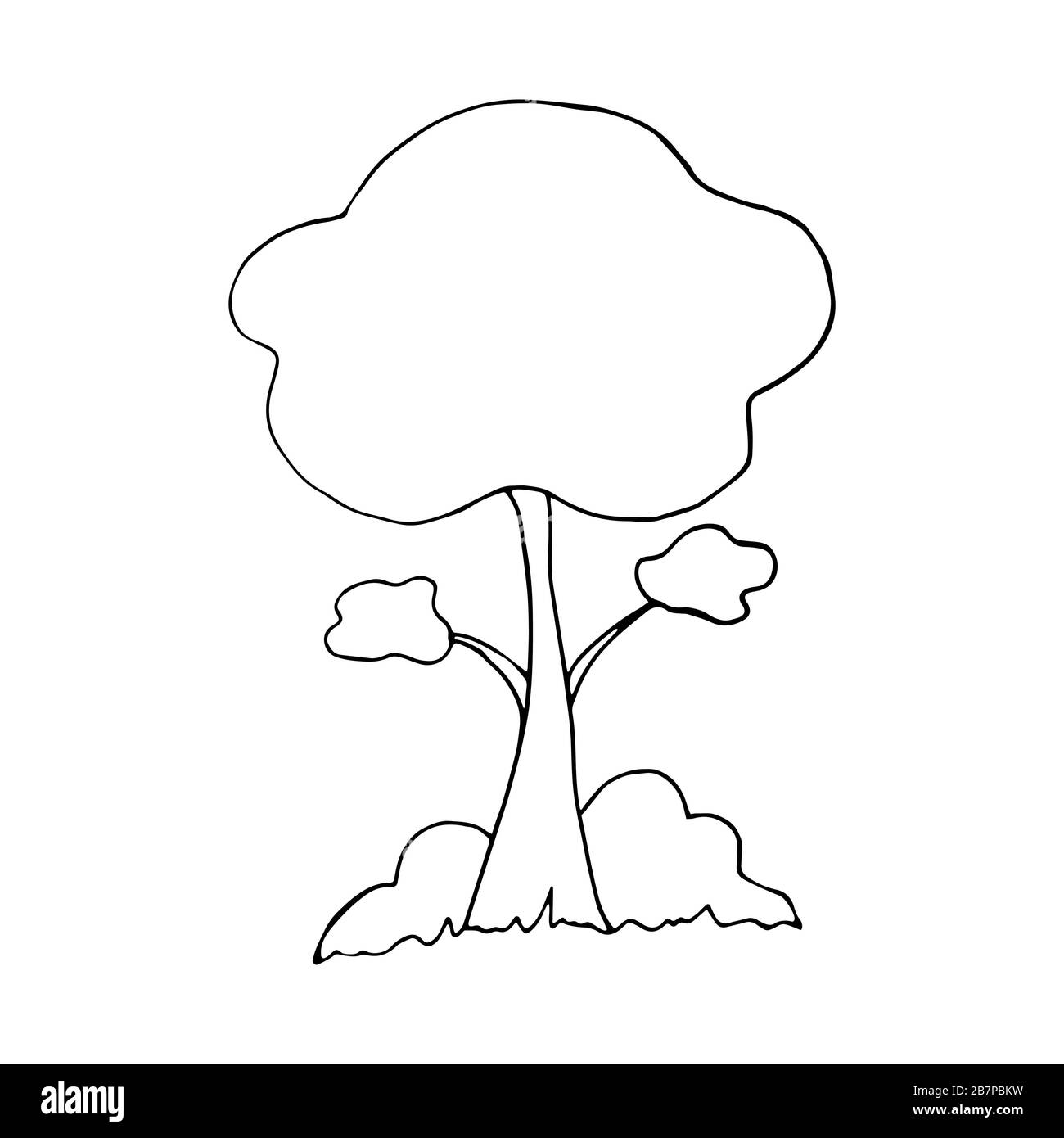Beautiful tree with spreading branches, bushes and grass on a white ...