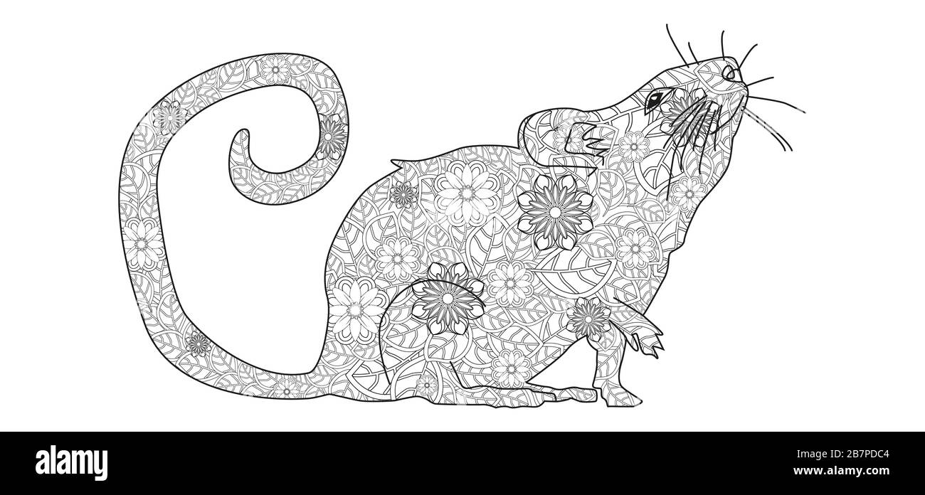Download Hand Drawn Zentangle Mouse For Coloring Book For Adult And Other Decorations Stock Vector Image Art Alamy