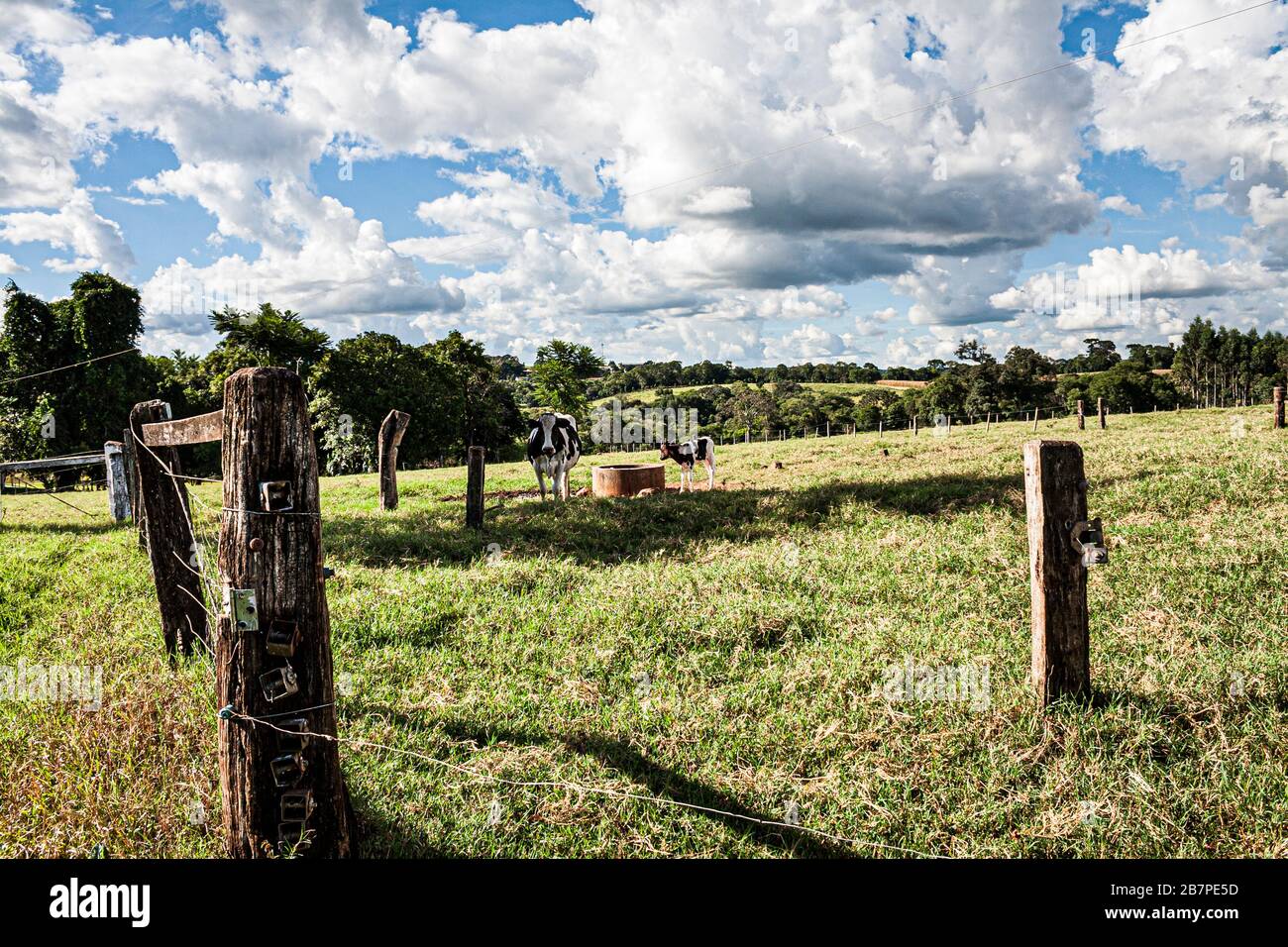 Guatambu Santa Catarina fonte: c8.alamy.com