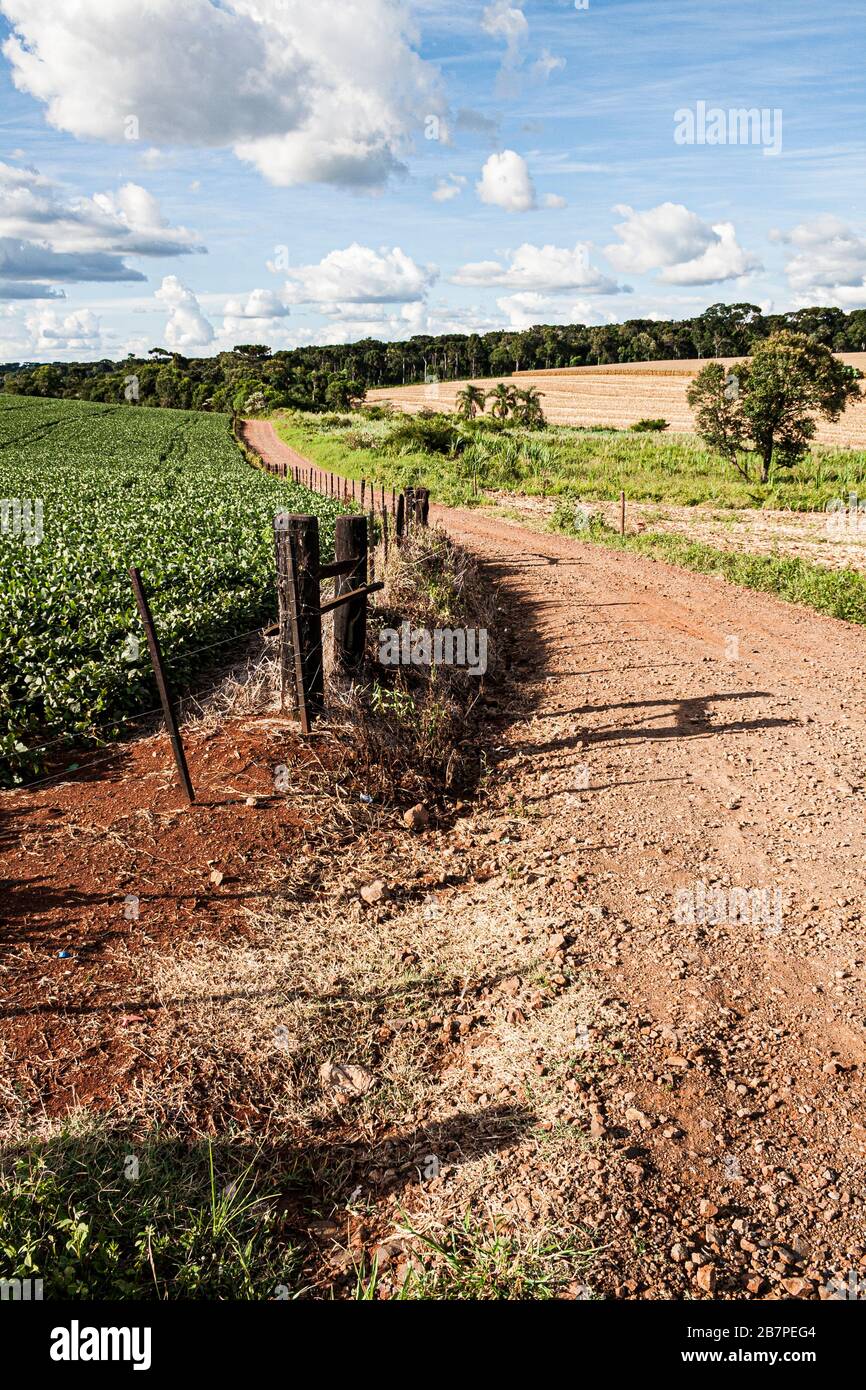 Dirt road in countryside of southern Brazil. Guatambu, Santa Catarina, Brazil. Stock Photo