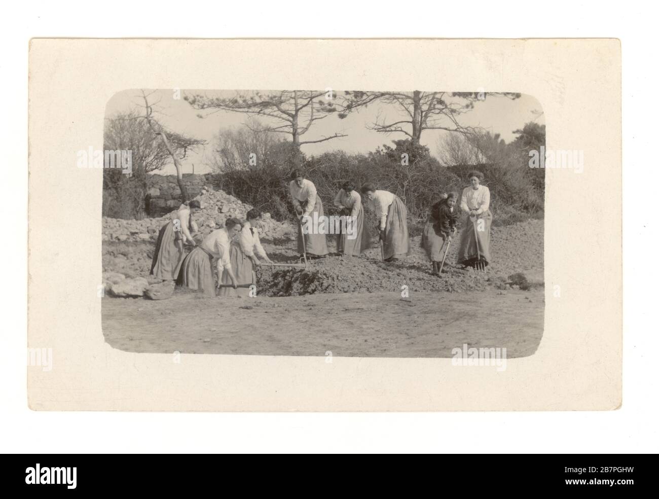WW1 era postcard of group of women land girls, doing war work - building a farm track, circa 1916, U.K. Stock Photo