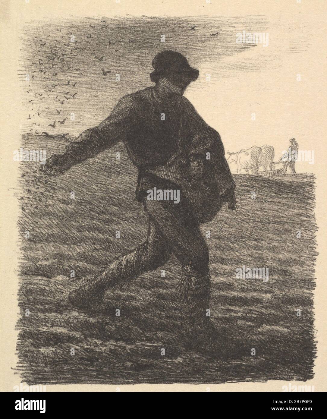 The Sower, 1851. Stock Photo