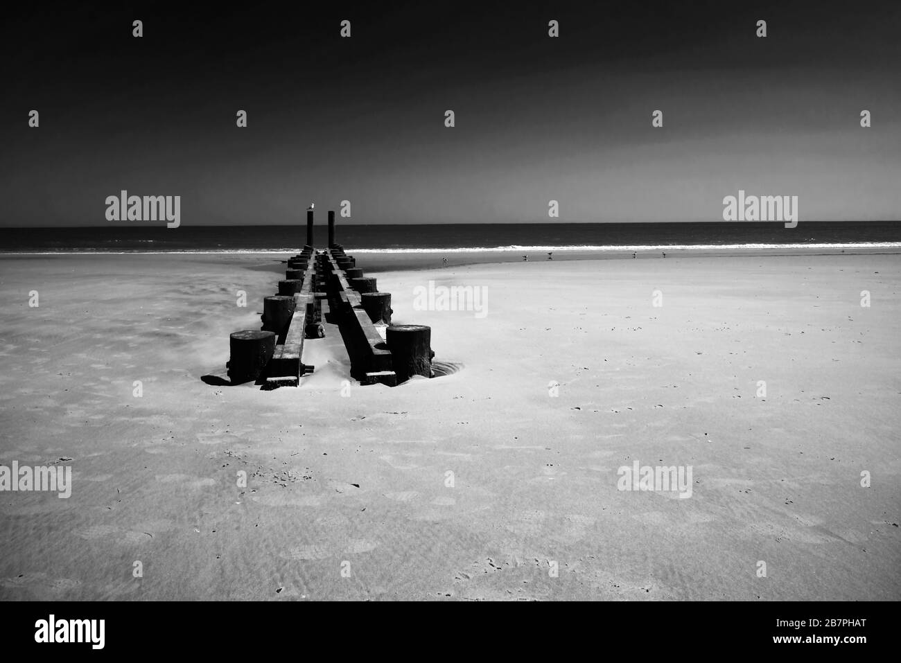 Logs on beach Black and White Stock Photos & Images - Alamy