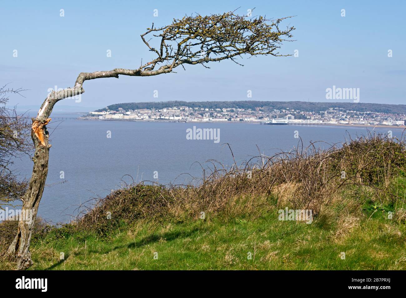A landscape shot from Brean Down looking across Weston Bay and Weston-Super-Mare towards Worlebury Hill, Somerset, England, UK Stock Photo