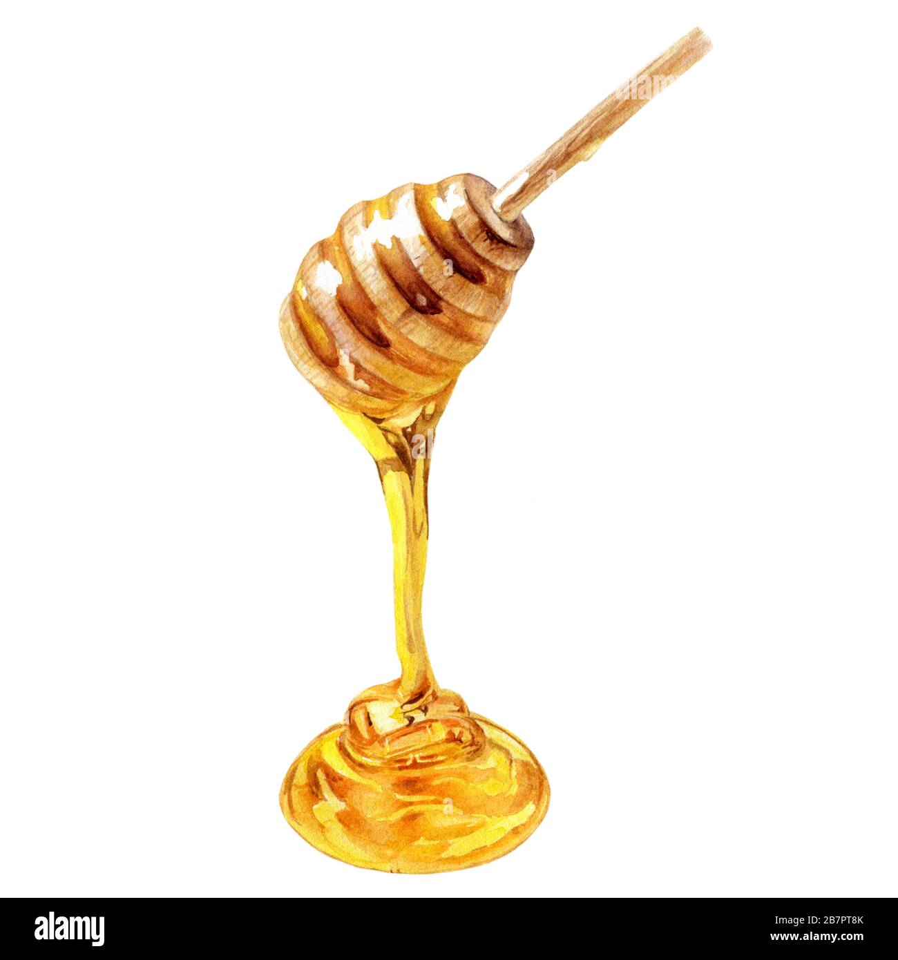 Honey stick watercolor isolated on white background Stock Photo - Alamy