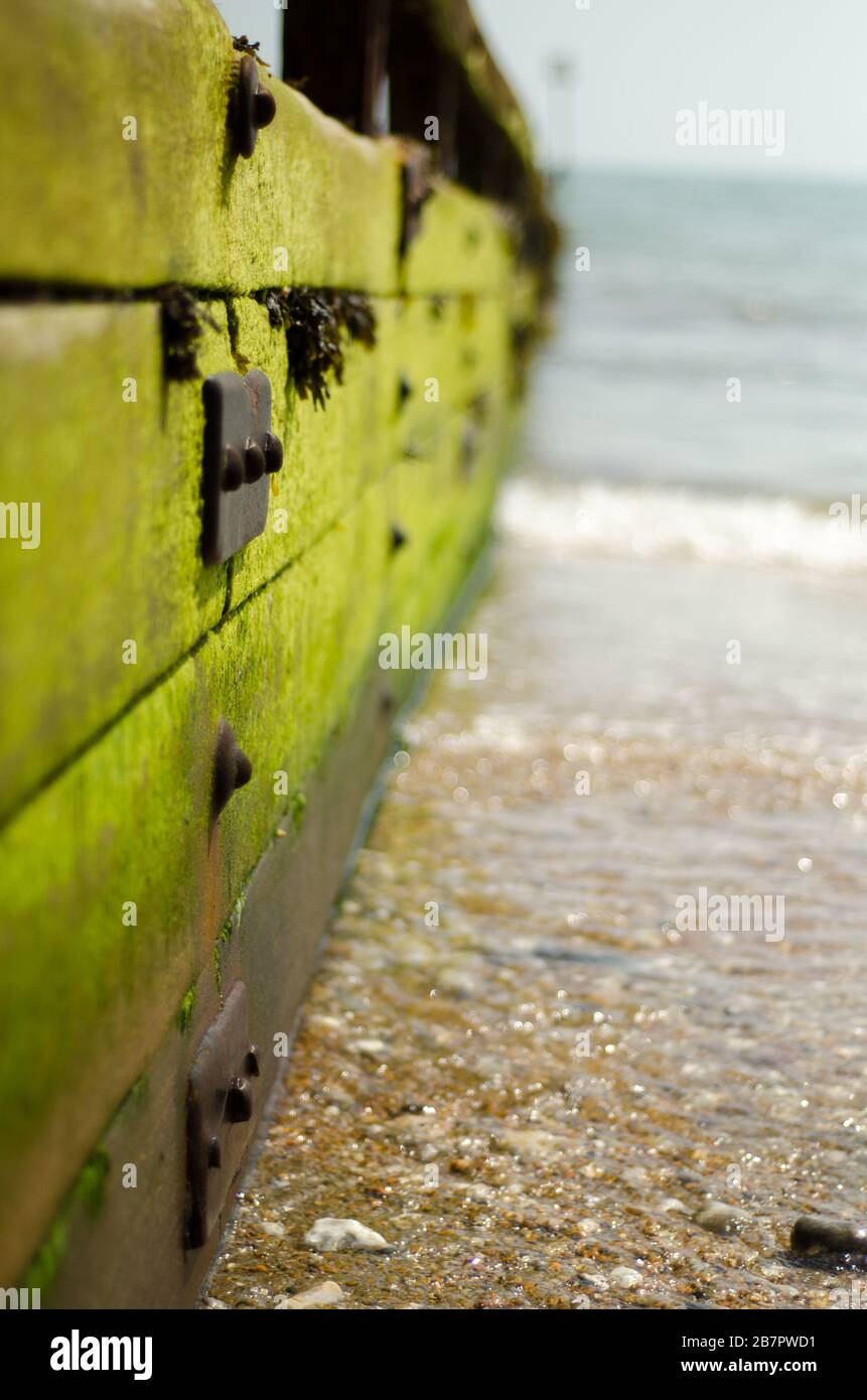 A weather beaten wooden groyne on an Isle of Wight shingle beach worn smooth by waves. Stock Photo