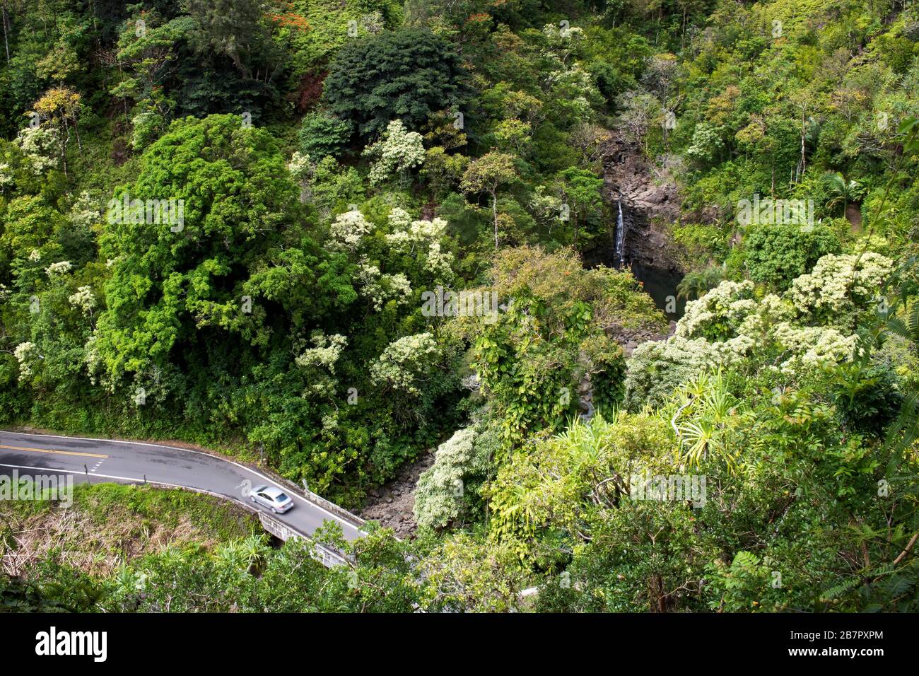 Car drives on one lane bridge through lush jungle foliage in Hawaii with waterfall in background. Stock Photo