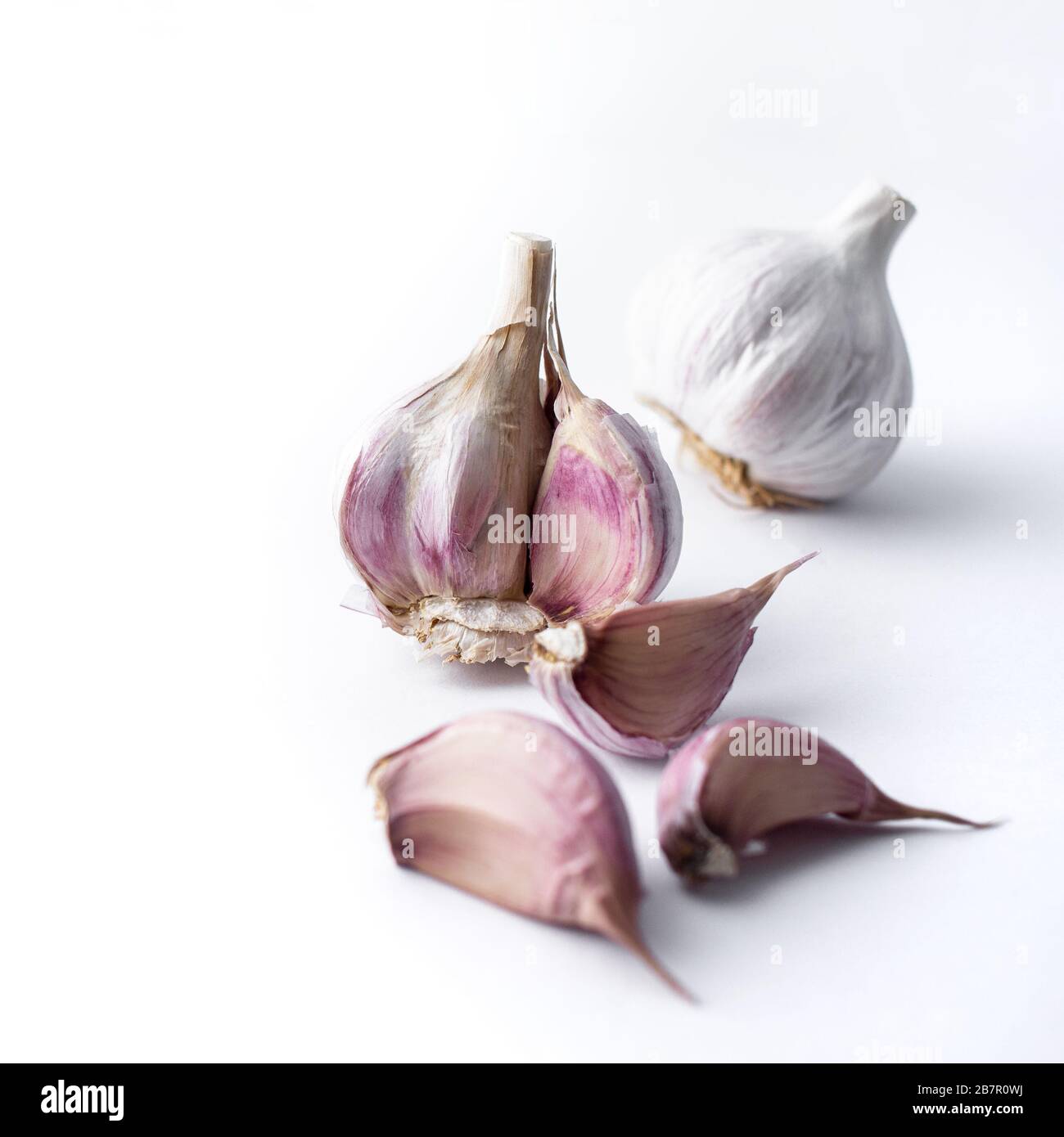 garlic cloves and garlic bulb and white background Stock Photo Alamy