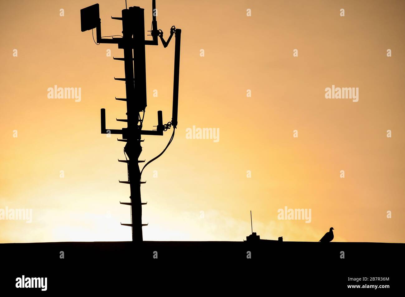 Silhouette of a radio telecommunication network antenna mounted on a metal pole providing strong signal waves from the top of the roof with sunrise an Stock Photo