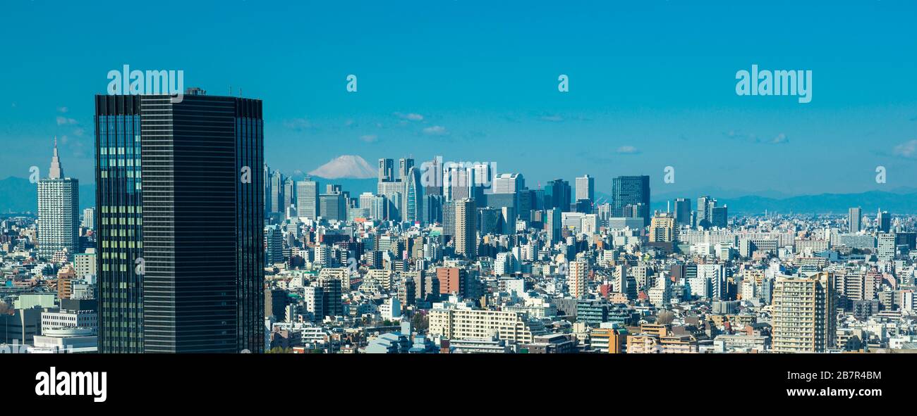 Tokyo skyline with Fuji mountain at distance during day time, Japan