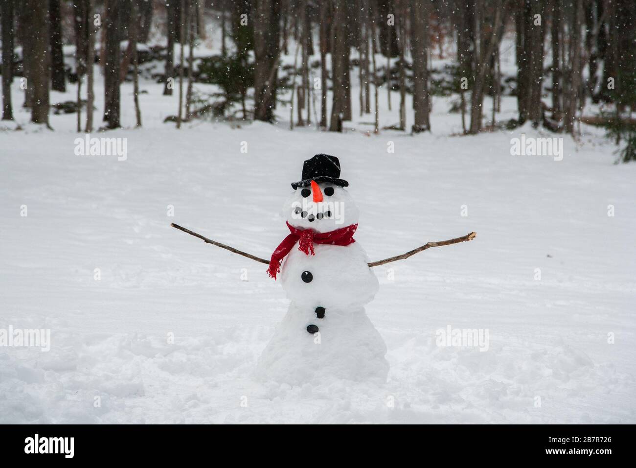Happy Snowman in Snowy Field in Front of Forest Treeline Stock Photo