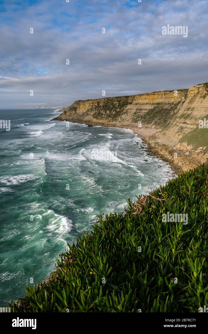 Vertical picture of a cliff covered in greenery surrounded by the sea ...