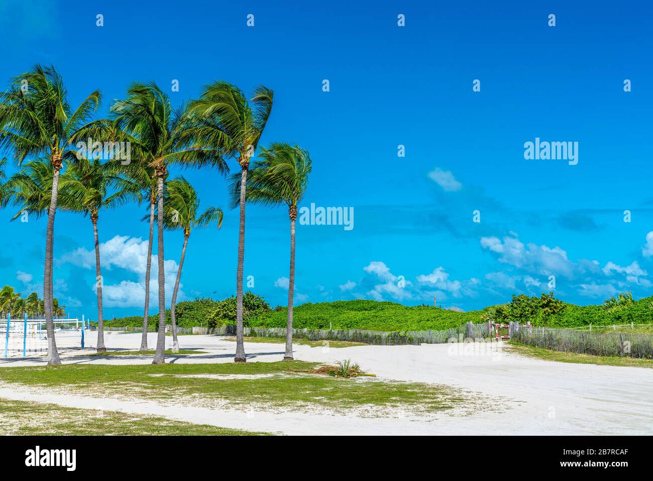 Sandy beach in Miami with palm trees and volleyball court, Florida. Stock Photo