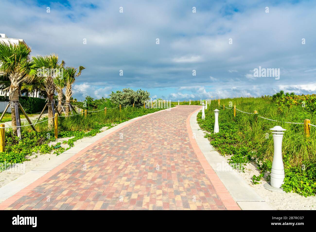 Walkway with palm trees in Miami beach, Florida Stock Photo
