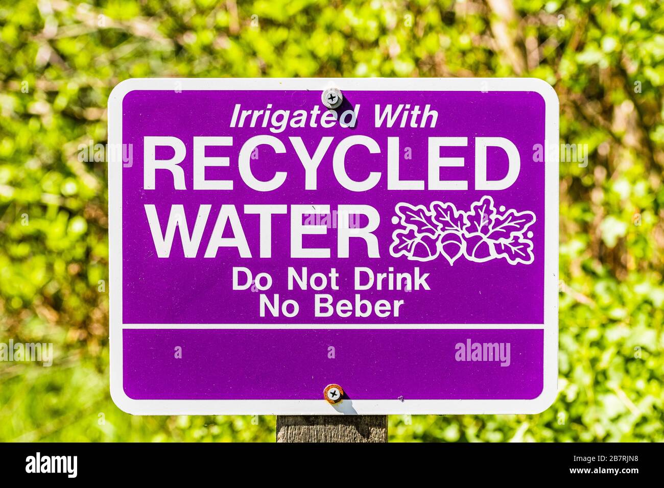 Close up of Irrigated with Recycled Water; Do Not Drink sign posted in a public park in Santa Clara, South San Francisco Bay Area, California Stock Photo